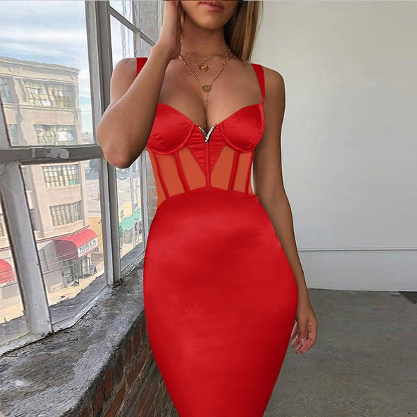 Envy Bodycon Dress